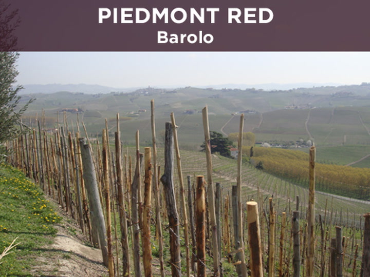 Piedmont Red: Barolo