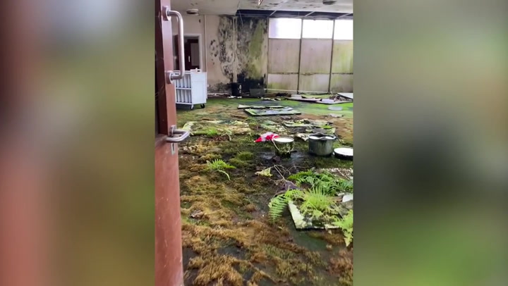 'Absolutely taken over by nature': Couple explore eerie abandoned school in Hertfordshire