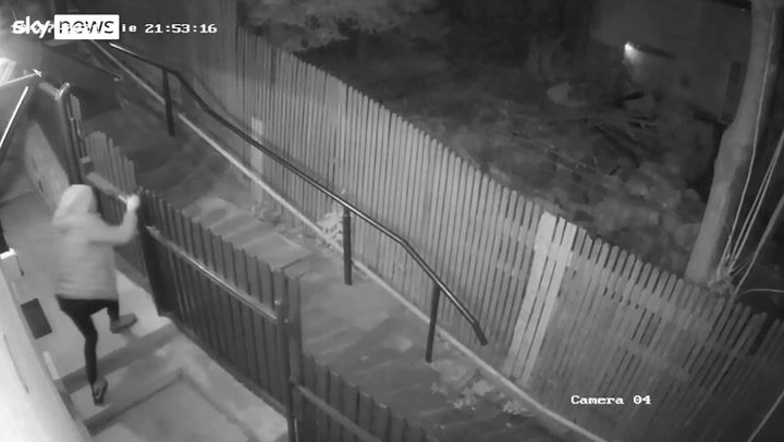 Bears chase woman along Romanian street after knocking down fence