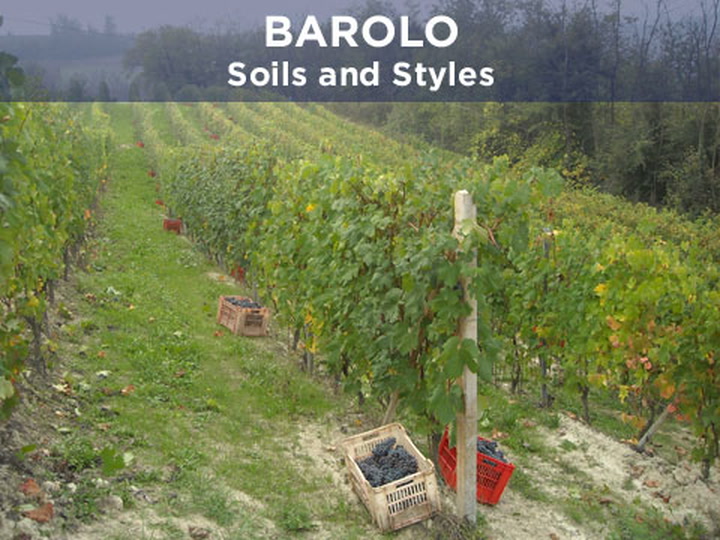 Barolo: Soils and Styles