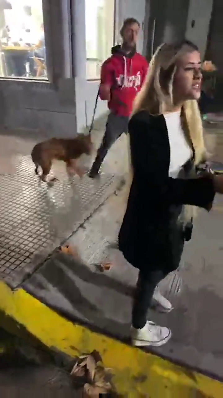 Marixa Balli fue agredida afuera de LAM cuando intentó rescatar a una perrita (IG @marixaballi)