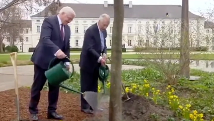 King Charles plants tree with German president during Berlin visit