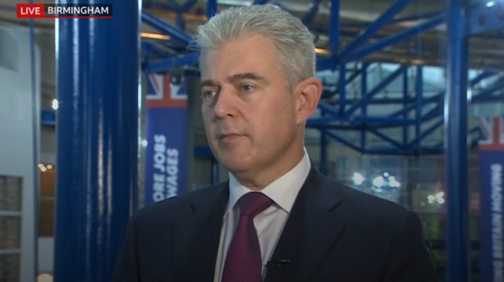 Government plans 'protect the most vulnerable', Brandon Lewis says amid controversy