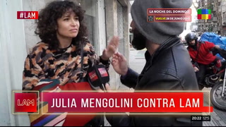 El exabrupto de Julia Mengolini contra LAM