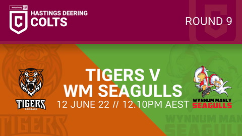Brisbane Tigers U20 - HDC v Wynnum Manly Seagulls U21 - HDC