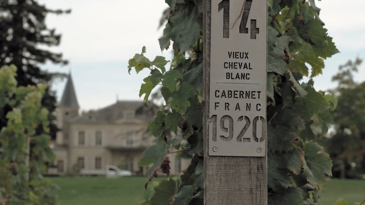 Estates of Bordeaux: Farming for the Future at Cheval-Blanc
