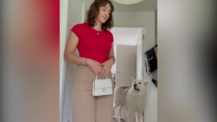 Dog appears to ask owner 'where are you going' as she gets dressed