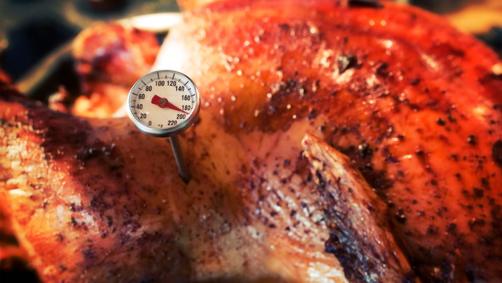 Can You Use A Candy Thermometer To Check Meat Temperature?