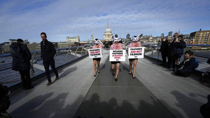 PETA protesta contra uso de plumas en semana de la moda en Londres