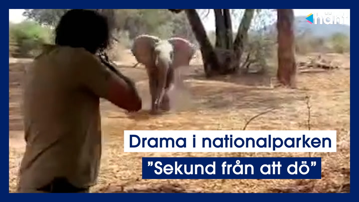 Drama i nationalparken: ”En sekund från att dö”