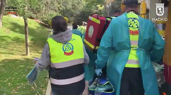 Así trasladaban a la mujer atacada por un gorila en el zoo de Madrid