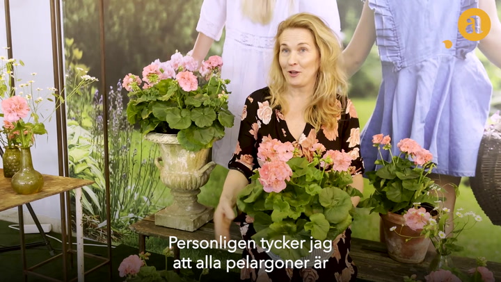 Malin Hidesäter om Årets pelargon 2022