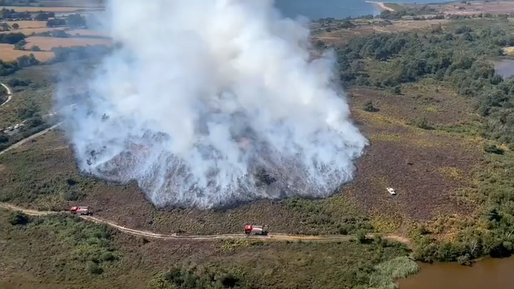 Dorset wildfire continues to tear through Studland as fire services confirm BBQ started it