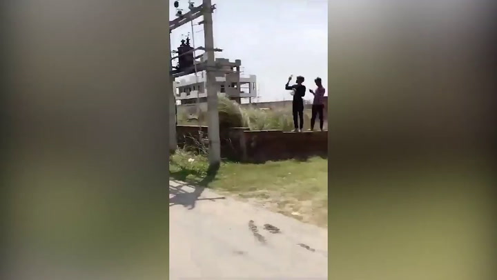 Woman climbs on top of electricity pole due to love issue in Gorakhpur, India