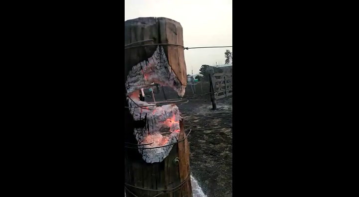 El campo incendiado del presidente de la SR de Machagai