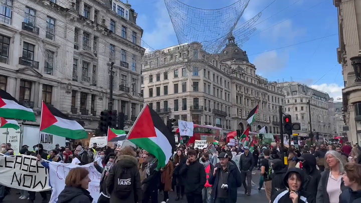 Pro-Palestine protesters demand ceasefire during London march