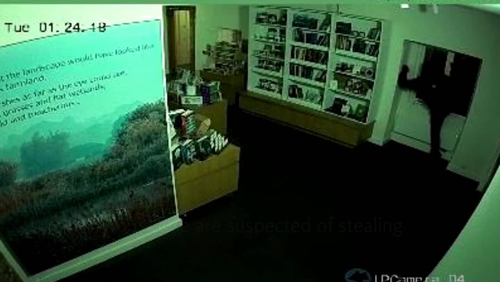 CCTV shows theft of 3,000-year-old gold jewellery from museum