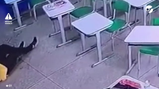 Brasil: un alumno que era víctima de bullying mató a una maestra a cuchillazos en una escuela de San Pablo