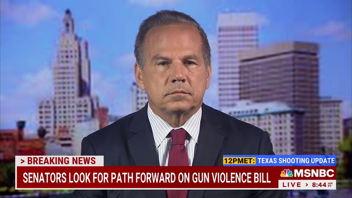 Rep. Cicilline: Republicans Will 'Pay a Political Cost' If They Don't Pass Gun Laws