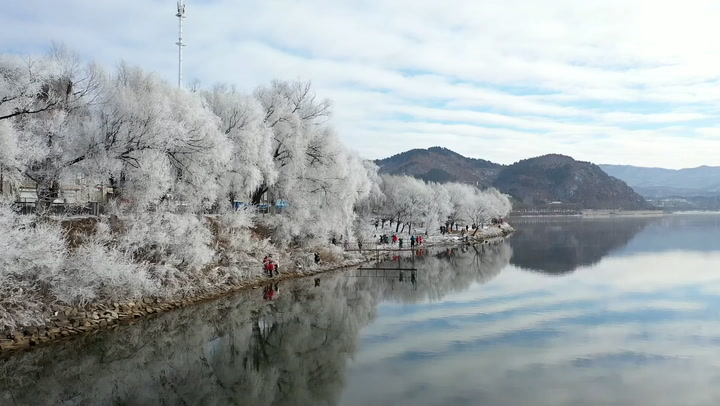 Ice-coated trees line Chinese river in stunning footage