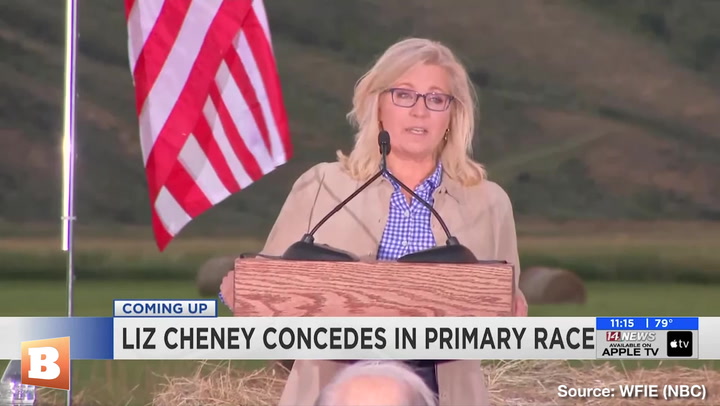 Media Inc. Goes Full Clown -- Depicts Liz Cheney as a Hero Rather Than a Boring Grifter