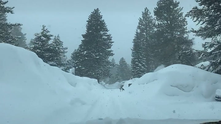 California covered in thick blanket of snow as rare winter storm sweeps state