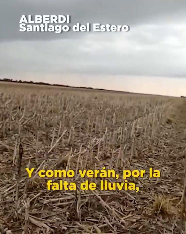 El video de Patricia Bullrich por la sequía
