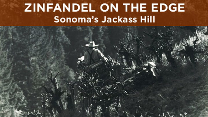 Zinfandel on the Edge: Sonoma's Jackass Hill