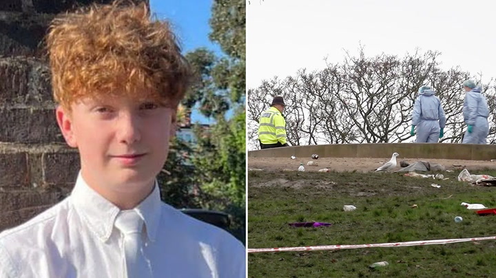 Forensics search London's Primrose Hill after 16-year-old killed on New Year's Eve