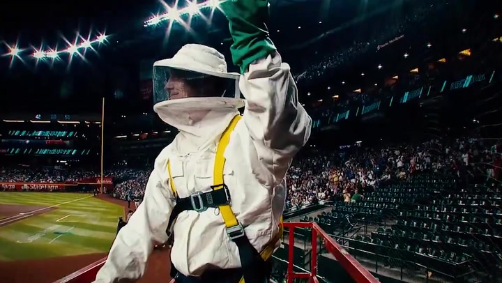 Pest control gets hero’s welcome at MLB stadium after bee colony delays game