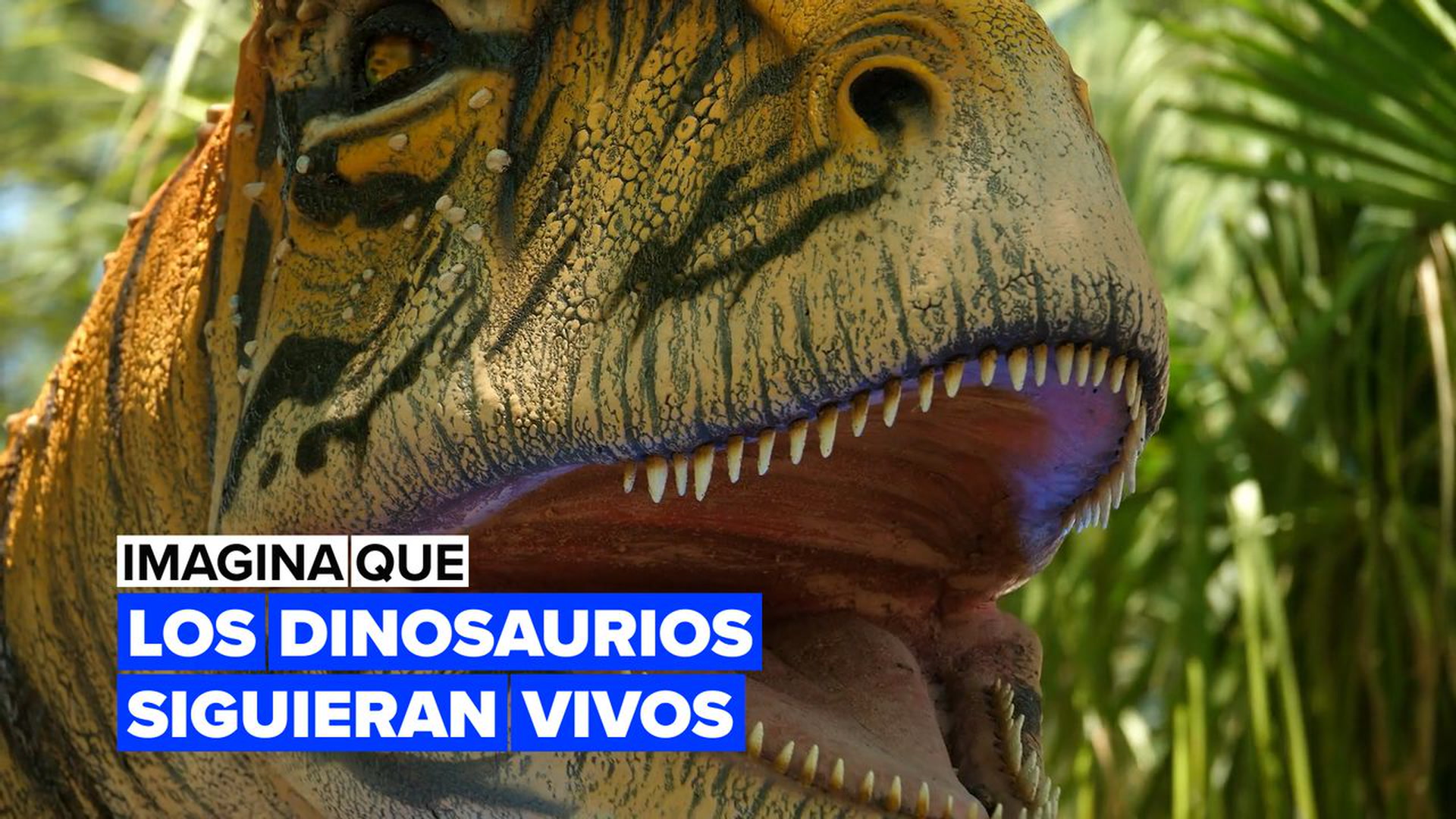 Asteroide que mató a los dinosaurios “cayó a la Tierra en primavera” |  Independent Español