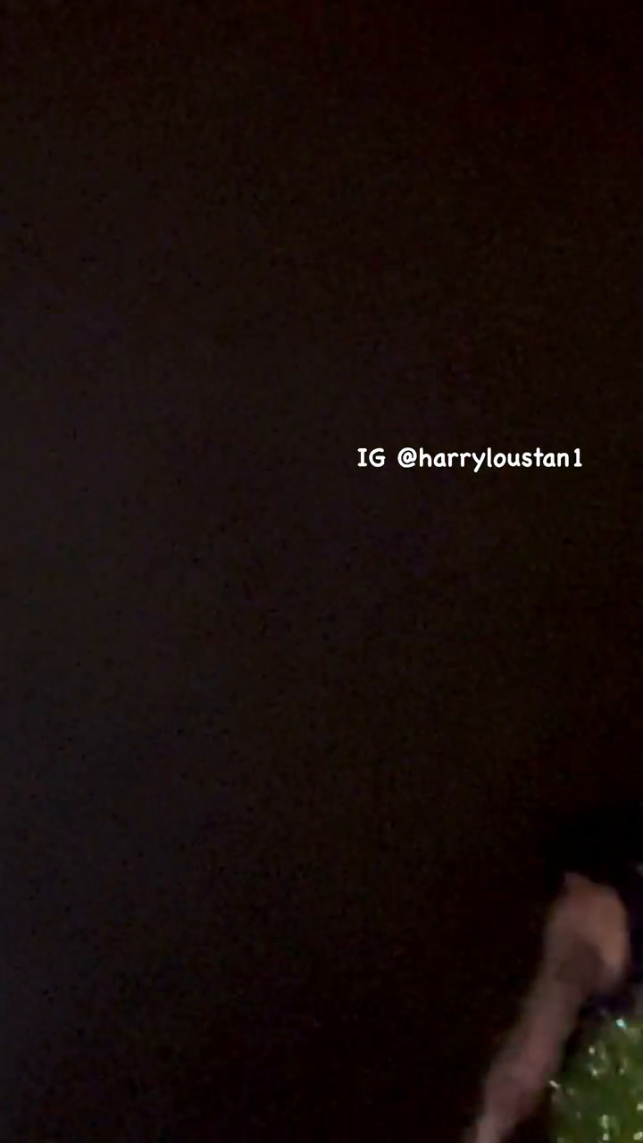 Harry Styles recibe el impacto de un celular en medio de su show en Viena