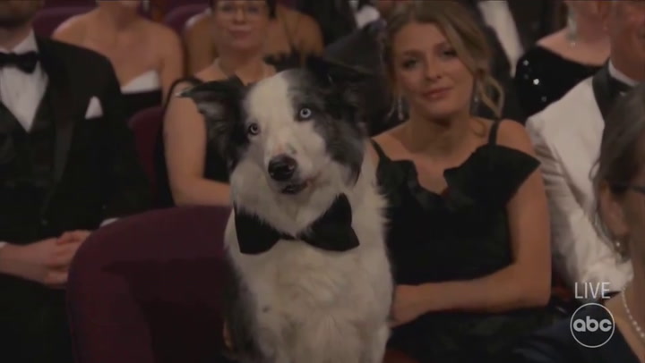 Oscars: "El perro Messi"