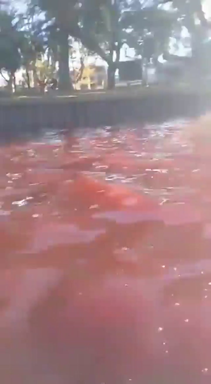 El río Tigre, teñido de rojo - Fuente: Twitter