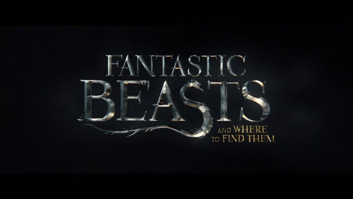 Fantastic Beasts And Where To Find Them 2016 Movie Moviefone
