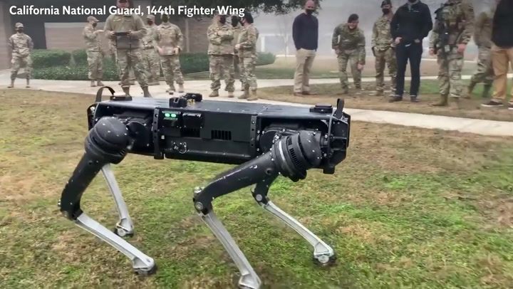 US military tests robot security dog on base in California
