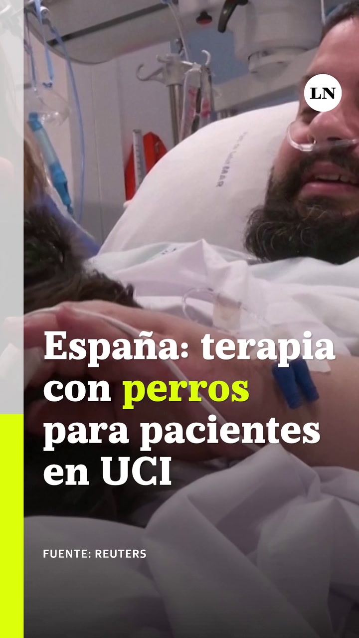España. Terapia con perros para pacientes en la unidad de cuidados intensivos