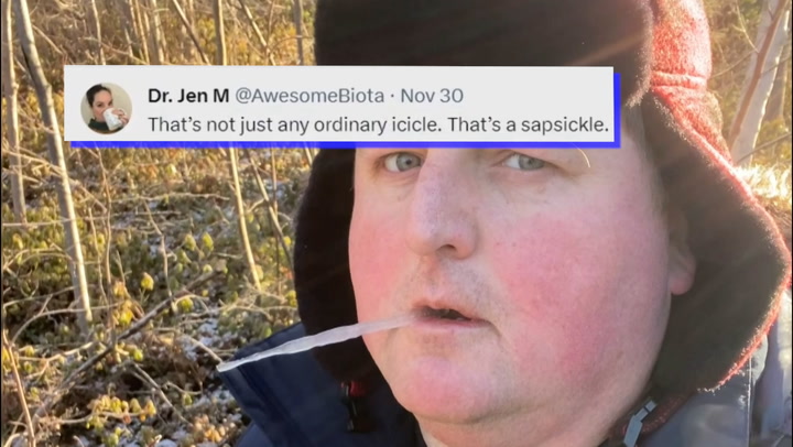 WHAT IS A 'SAPSICKLE'? REPORTER GETS A LESSON FROM SOCIAL MEDIA