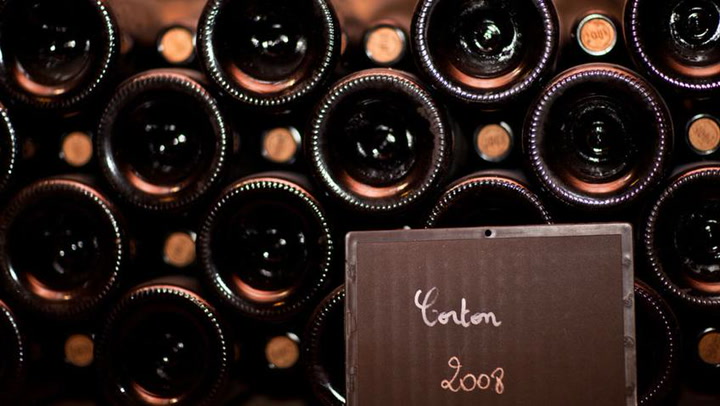 Tasting Corton & Pairing Red Burgundy: 3 Pinots, part 4/4