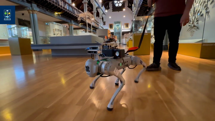 AI-powered robot guide dogs developed for visually impaired