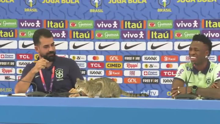 Cat interrupts Vinicius Jnr Brazil press conference