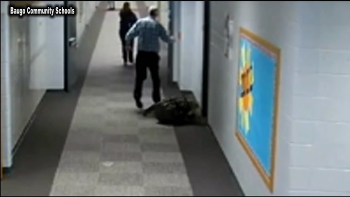 Video: profesor abofetea a un alumno en una escuela de Indiana