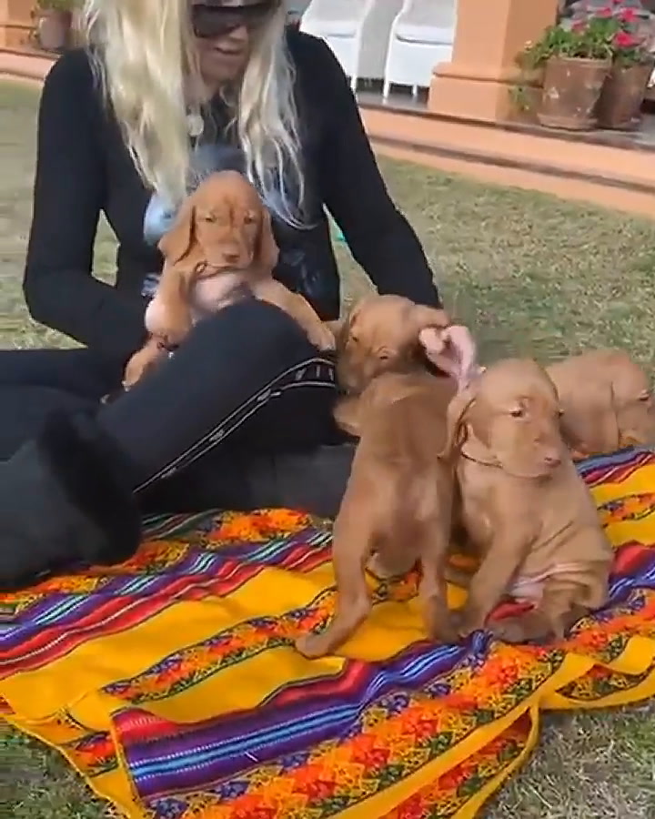 Susana Giménez compartió un video de los cachorros de su perra Rita