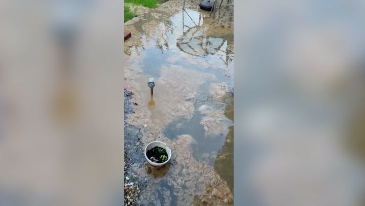 Raw sewage floods girls memorial garden leaving mother heartbroken