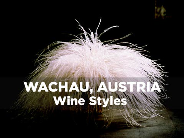 Wachau Styles