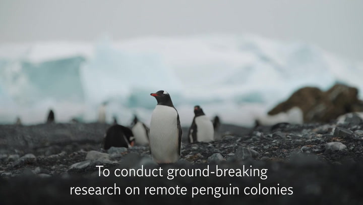 Scientists conduct ground-breaking research on remote penguin colonies in Antarctica