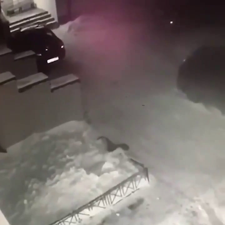 Una niña de seis años cayó desde un cuarto piso y salvó gracias a la nieve