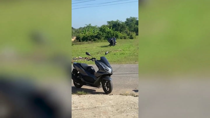 Furious cow rams and overturns motorcycle while rider tries to flee