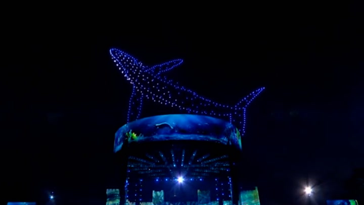 Whales, owls and tigers: Drones show light up the sky above the coronation concert