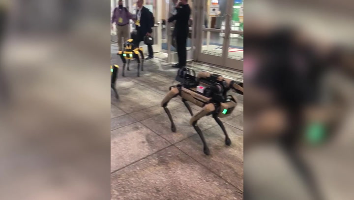 Robot dog with rifle on its back unveiled at US Army trade show
